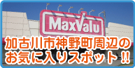 松田歯科医院のおすすめスポット